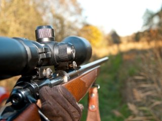 Rifle Shooting