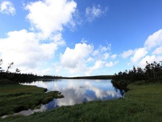 Wetlands