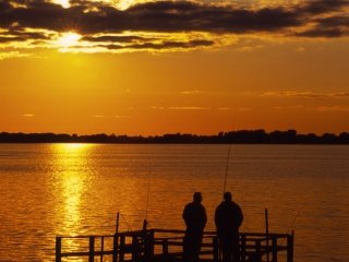 Friends Fishing