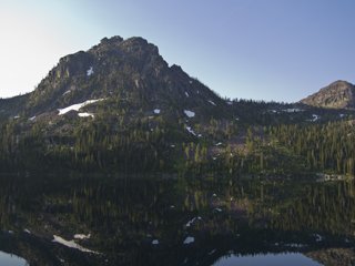 Elk Scouting