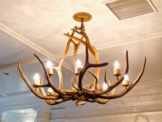 Antler Lamp