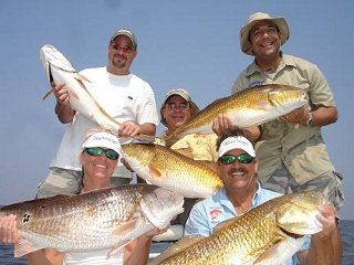 file_166951_0_redfish file_166951_0_redfish