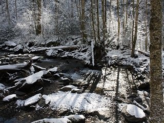 snow trail