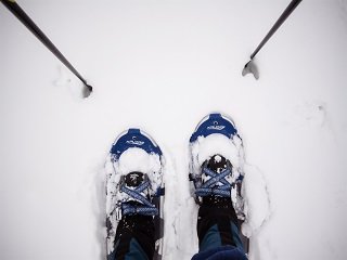 snowshoe6