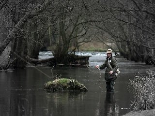 spring trout