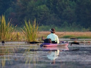 kayak