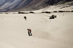 © Gelbendorf | Dreamstime.com - Walking In Desert Photo