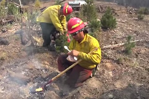 fire-crew