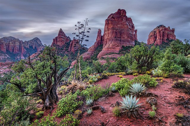 sedona