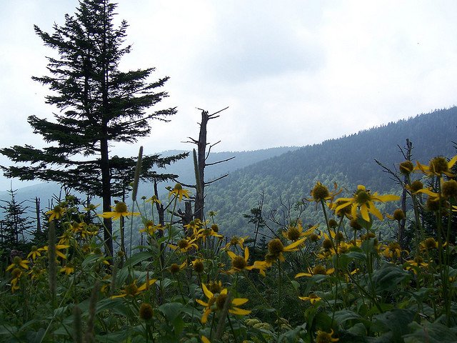 smoky mountains