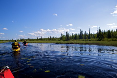 kayakers