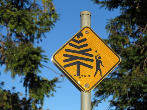 pine cone sign