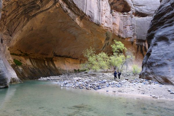 zion narrows