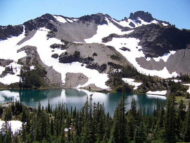 Olympic National Forest