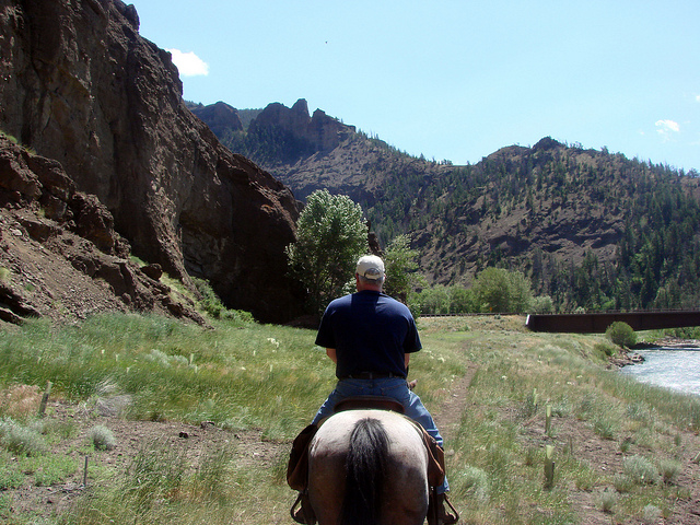 Shoshone National Forest