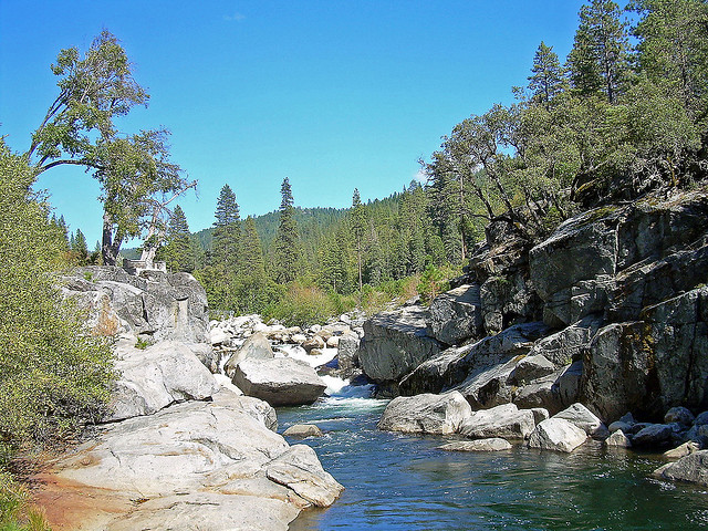 Stanislaus National Forest