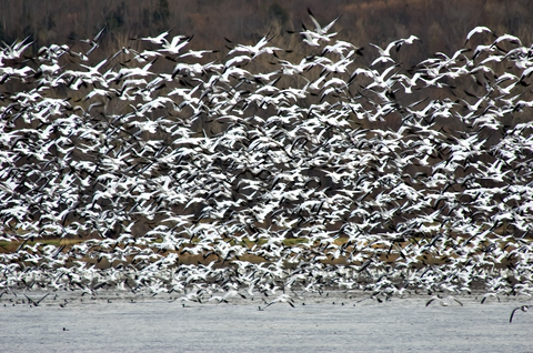 Squaw Creek National Wildlife Refuge, Missouri