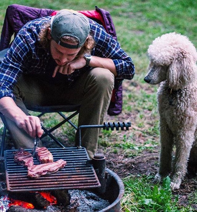 Camping With Dogs