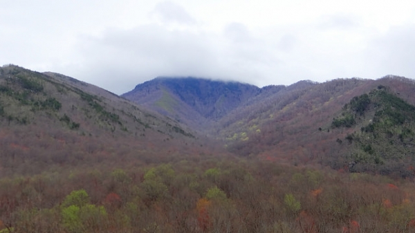 Great Smokey Mountains, Tennessee