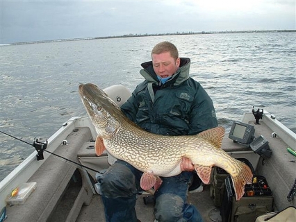 Northern Pike